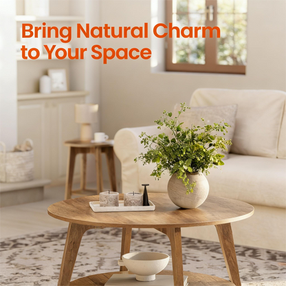 Dual-Tier Round Coffee Table – Natural Style for Living Spaces